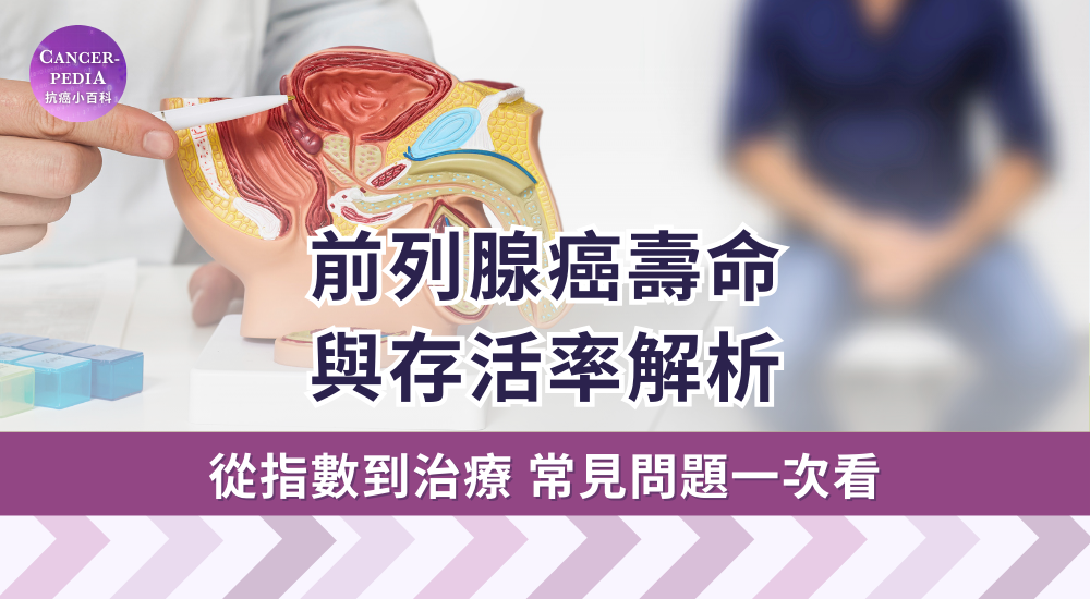前列腺癌壽命與存活率如何？癌指數與治療方式一次看 - 抗癌小百科 Cancer-Pedia